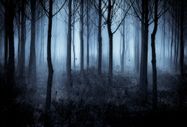 ghostly woods